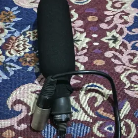 mikirifon sony