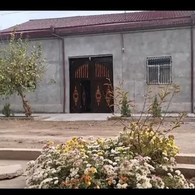 Yaşaýyş jayy