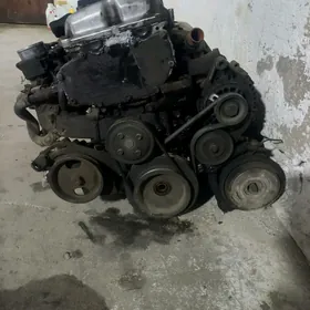 nissan sunny mator zapjas
