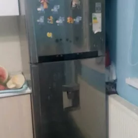 Haladilnik LG