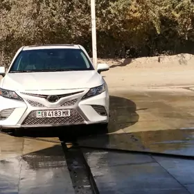 Toyota Camry 2019