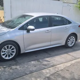 Toyota Corolla 2022