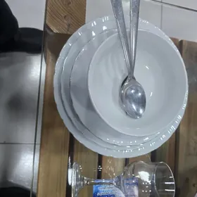 satlyk pasuda