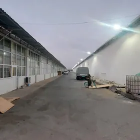 Satlyk Bazar Hususy Emläk