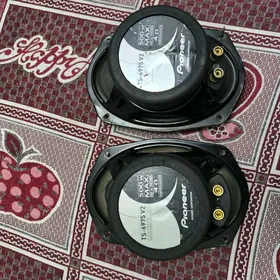 Arginal nikil kalonka