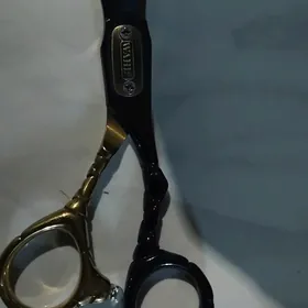 WAHL gaycysy
