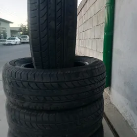 215.60.16