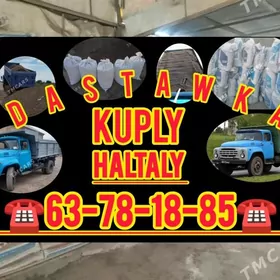 Miti Gum Toyun sebil pulpa