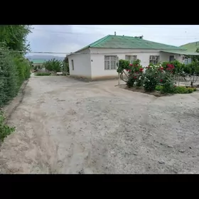 plan jaý Ak bugday