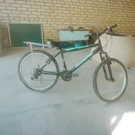 türk welik