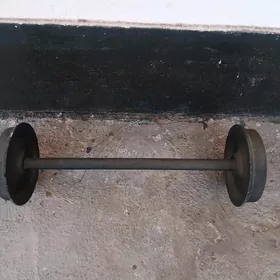 stanga