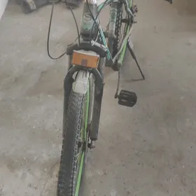 sportiwni welespet