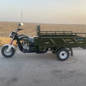 Fekon FK200-14G 2025