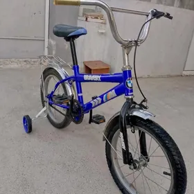 tigir 16 lyk