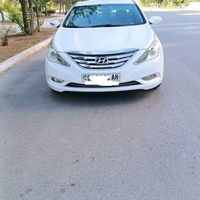 Hyundai Sonata 2010