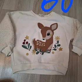 Одежда
