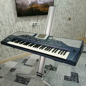 korg pa 800