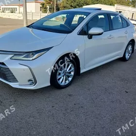 Toyota Corolla 2019