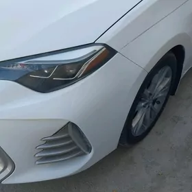 Lopus radiator