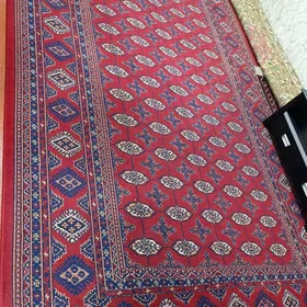 Haly Turk 2.5×5 onsuk bar