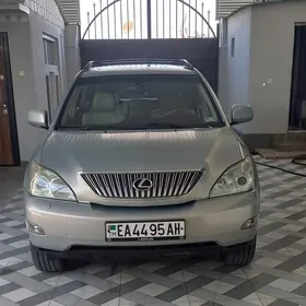 Lexus RX 330 2004