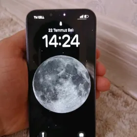 13 pro