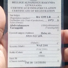 Teh pasport