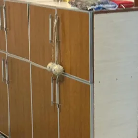 şkaf kowush salynyan