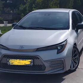 Toyota Corolla 2021