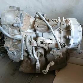 karopka 3lik