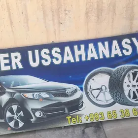 tigir plakat