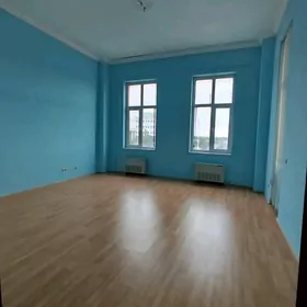 Gogol poluelitka 3 kom