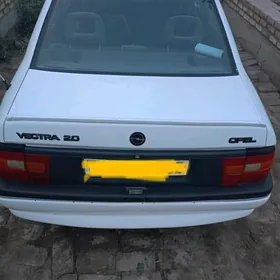 Opel Vectra 1991
