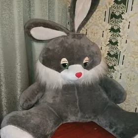 Зайка