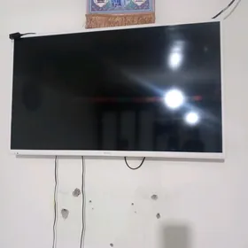 Vetel Telwizir