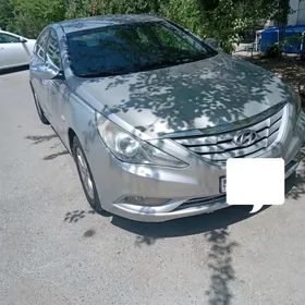 Hyundai Sonata 2010