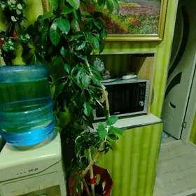 damaşny bag