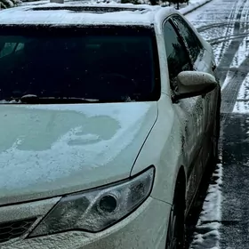 Fara palta camry