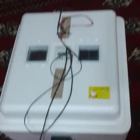 Enkawator