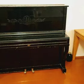 pionina пионина