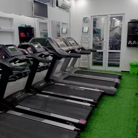 sport enjamlary