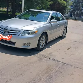 Toyota Camry 2011