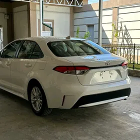 Toyota Corolla 2020
