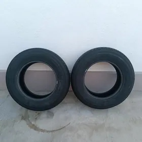 Dunlop teker