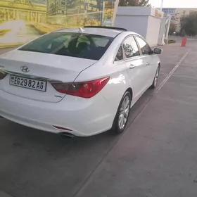 Hyundai Sonata 2010