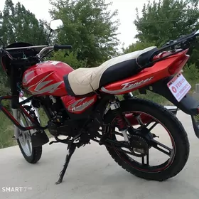 Fekon FK150-8G 2014