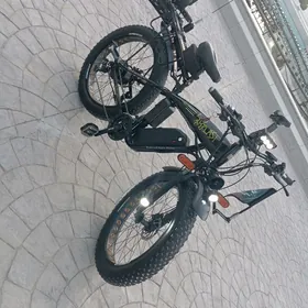 tokly tigir