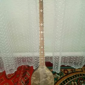 Plektra dutar