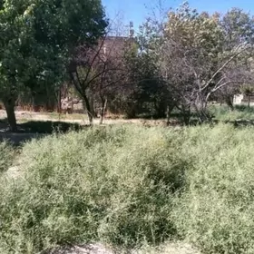 Turkmenabat satılık daça