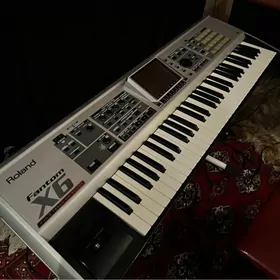 Roland Fantom X6